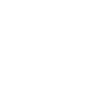 derideengeber_logo_w